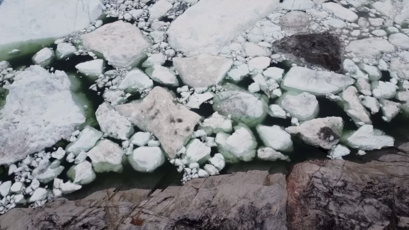 氣候變化：隨著北極變暖格陵蘭島的發(fā)生了什么變化？